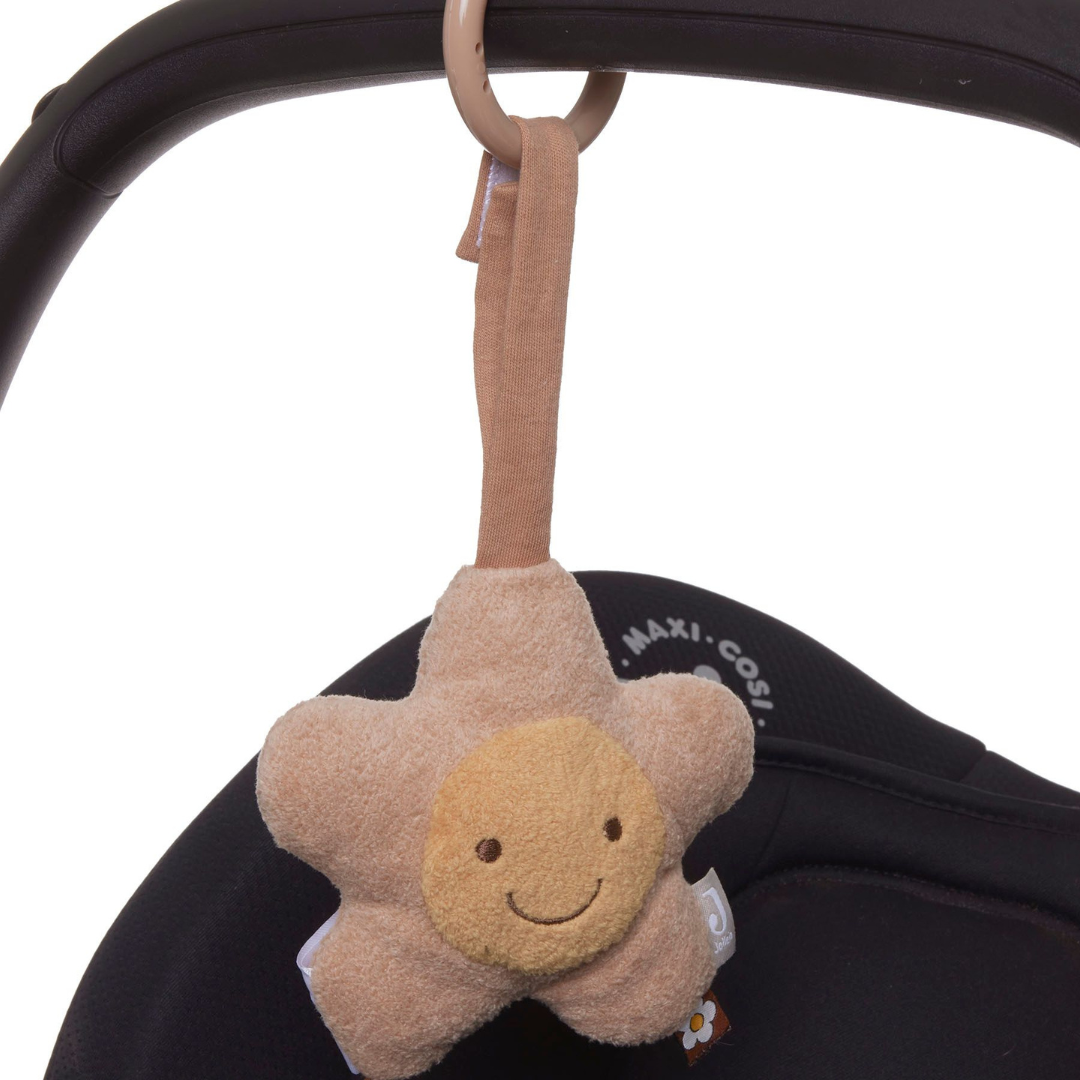 Maxicosi met wagenhanger Bloem